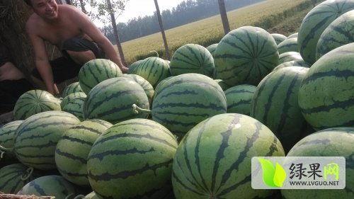 西安最新吃瓜爆料事件,揭秘神秘事件背后的真相  第2张