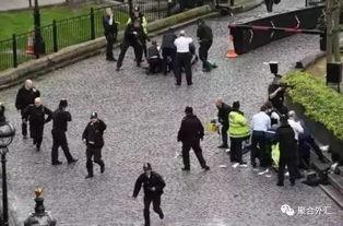 绵阳凯厦砍树事件爆料视频,揭秘校园暴力背后的真相  第2张